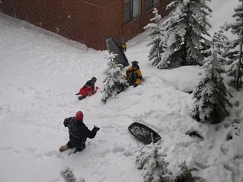 snowball_fight_mammoth_2005